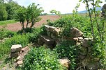 Die Wüstung Lindenschu (Foto: Ulrich Reinboth)