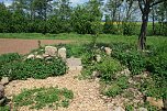 Die Wüstung Lindenschu (Foto: Ulrich Reinboth)