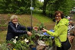 Parkfest im Park Hohenrode (Foto: agl)