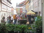 Grünes Innenstadtfest in Bad Langensalza (Foto: Markus Fromm)