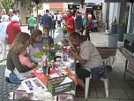 Grünes Innenstadtfest in Bad Langensalza (Foto: Markus Fromm)