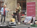 Grünes Innenstadtfest in Bad Langensalza (Foto: Markus Fromm)