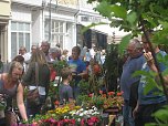 Grünes Innenstadtfest in Bad Langensalza (Foto: Markus Fromm)