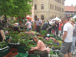 Grünes Innenstadtfest in Bad Langensalza (Foto: Markus Fromm)