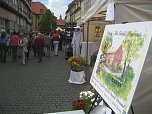 Grünes Innenstadtfest in Bad Langensalza (Foto: Markus Fromm)