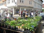 Grünes Innenstadtfest in Bad Langensalza (Foto: Markus Fromm)