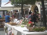 Grünes Innenstadtfest in Bad Langensalza (Foto: Markus Fromm)