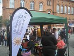 Grünes Innenstadtfest in Bad Langensalza (Foto: Markus Fromm)