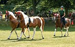 Ponyshow in Wülfingerode (Foto: PRFZV Wülfingerod)