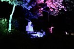 Sternenfest TANABATA im Japanischen Garten in Bad Langensalza (Foto: Eva Maria Wiegand)