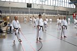 Internationales Karate-Training in der Wiedigsburg-Halle (Foto: agl)