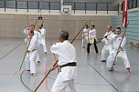 Internationales Karate-Training in der Wiedigsburg-Halle (Foto: agl)