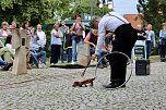 Sommerlaune 2023 in Bad Langensalza (Foto: emw/osch)