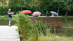 Stippvisite bei der Landesgartenschau in Bad Gandersheim (Foto: nnz)