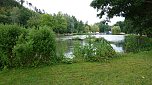 Stippvisite bei der Landesgartenschau in Bad Gandersheim (Foto: nnz)