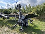 Drachen-Alarm am Sundhäuser Kiesteich (Foto: S.Dietzel)