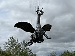 Drachen-Alarm am Sundhäuser Kiesteich (Foto: S.Dietzel)