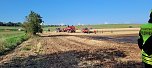 Feldbrand bei Kleinwechsungen (Foto: Feuerwehr/Silvio Dietzel)