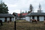 Unterwegs zum Hufhaus (Foto: P.Blei)