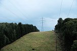 Unterwegs zum Hufhaus (Foto: P.Blei)