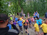 Crosslauf im Badewäldchen (Foto: M.Fromm)