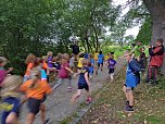 Crosslauf im Badewäldchen (Foto: M.Fromm)