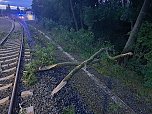 Bahn kollidiert mit Ästen (Foto: S. Dietzel)