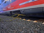 Bahn kollidiert mit Ästen (Foto: S. Dietzel)