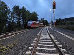 Bahn kollidiert mit Ästen (Foto: S. Dietzel)