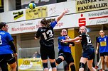 Ein fast perfektes Handballwochenende (Foto: NSV)