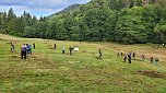 Pflegeeinsatz auf der Wiese (Foto: Landschaftspflegeverband Südharz/Kyffhäuser)