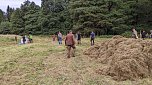 Pflegeeinsatz auf der Wiese (Foto: Landschaftspflegeverband Südharz/Kyffhäuser)