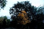 Herbst am Kiesschacht (Foto: Peter Blei)