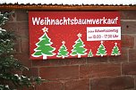 Weihnachtsbäume zum Advent in Kelbra (Foto: Ulrich Reinboth)