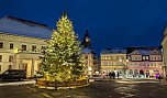 Rechtzeitig zum „Glühweinzauber“ wurde der Weihnachtsbaum auf dem Sondershäuser Marktplatz aufgestellt und geschmückt (Foto: Janine Skara)