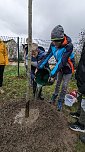 Baumpflanzung 2.0 an der Petersbergschule (Foto: K. Bauditz)