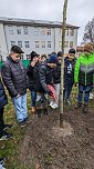 Baumpflanzung 2.0 an der Petersbergschule (Foto: K. Bauditz)