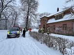 Brand im Sondershäuser Schlosspark (Foto: S.Dietzel)