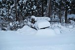 Wunderbare Winterlandschaft bei Benneckenstein (Foto: P.Blei)