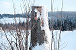 Wunderbare Winterlandschaft bei Benneckenstein (Foto: P.Blei)