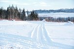 Wunderbare Winterlandschaft bei Benneckenstein (Foto: P.Blei)