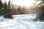 Wunderbare Winterlandschaft bei Benneckenstein (Foto: P.Blei)