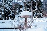 Wunderbare Winterlandschaft bei Benneckenstein (Foto: P.Blei)
