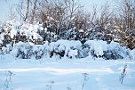 Wunderbare Winterlandschaft bei Benneckenstein (Foto: P.Blei)