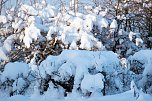 Wunderbare Winterlandschaft bei Benneckenstein (Foto: P.Blei)