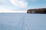 Wunderbare Winterlandschaft bei Benneckenstein (Foto: P.Blei)