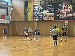 Handballnachlese zum Wochenende (Foto: NSV)