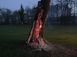 Erneuter Brand im Schlosspark Sondershausen (Foto: S. Dietzel)