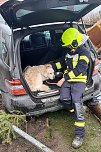 Feuerwehrmann kümmert sich um den Hund des verunfallten Fahrers (Foto: S. Dietzel)
