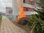 Heckenbrand in Heringen (Foto: S. Dietzel)
